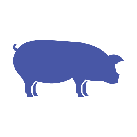 pork products taparis butcher malta online shop